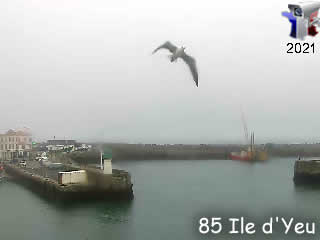 Webcam du port de l'Ile d'Yeu en panoramique HD - via france-webcams.com