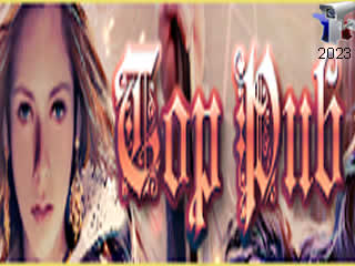 Aperçu de la webcam ID1188 : Top Pub - via france-webcams.com