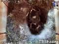 Le nid N°2 de mésange charbonnière cam 1 - via france-webcams.com
