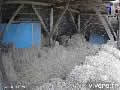 Webcam 2 vers le nid de grand-duc d'Europe - via france-webcams.com