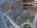 Webcam Centre d'élevage gypaètes : Jeunes oiseaux - via france-webcams.com