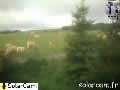 Webcam Plateau de l'Aubrac - SolarCam: caméra solaire 3G. - via france-webcams.com