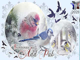 Logo de : ©AddPub forum de pub - ID N°: 1185 sur France Webcams Annuaire