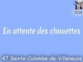 Logo de : Chouette effraie (nid Ste-Colombe | int.)
 - ID N°: 1199 sur France Webcams Annuaire