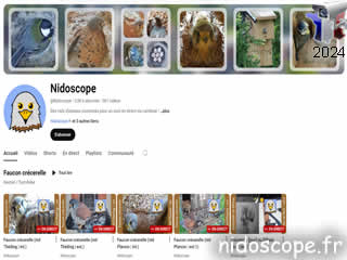 Logo de : Nidoscope - Des nids d'oiseaux connectés pour un suivi en direct via caméras !  - ID N°: 1201 sur France Webcams Annuaire