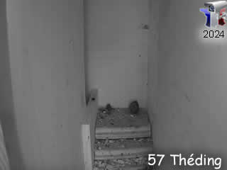 Chouette effraie (nid Théding n°2 | ext.1) - ID N°: 31 - France Webcams Annuaire